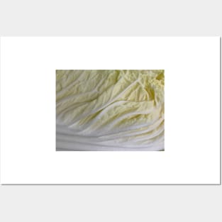 Napa Cabbage Posters and Art